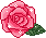 pinkrose2